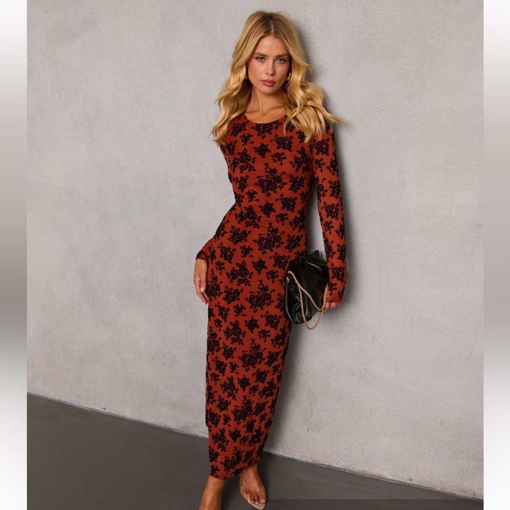 VICI Dry Bloom Burnout Velvet Maxi Dress, size xs, perfect condition